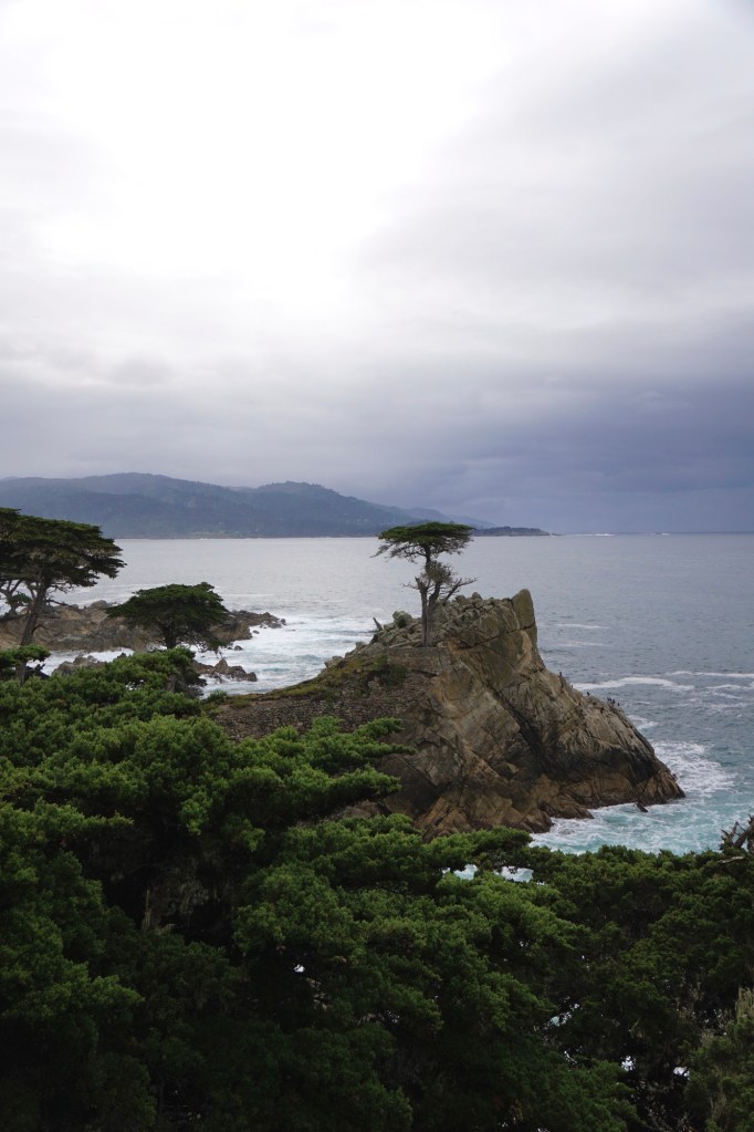 A rocky coastline with a single tree atop a cliff overlooking the ocean, under a cloudy sky.